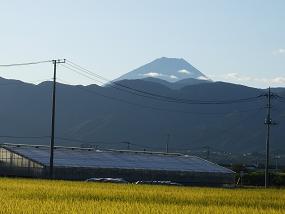 朝の散歩 400.jpg