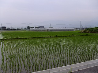 香川 572.jpg