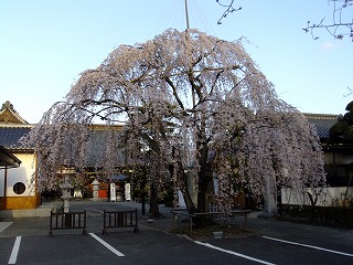 東京 590.jpg