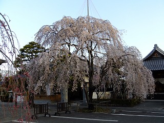 東京 594.jpg