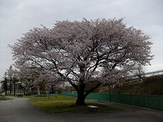 東京 658.jpg